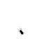 [Image: http://biomoose.com/pics/bug.gif]